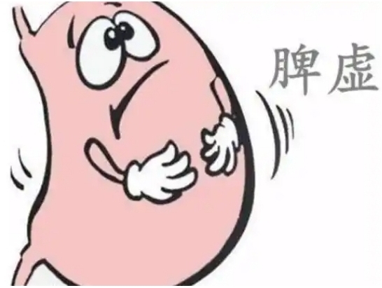 胃泌素、促胰液素等激素如何调节消化器官的活动？