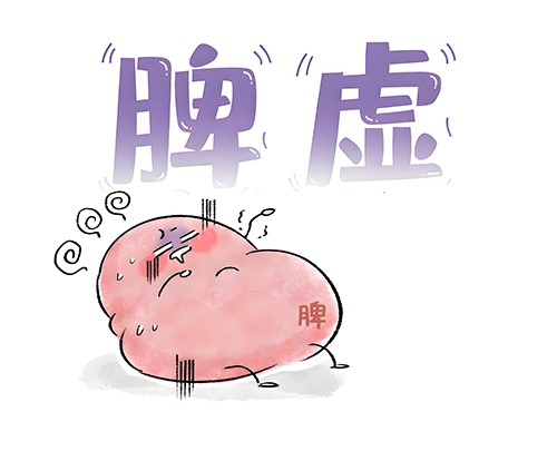 脾胃虚寒有哪些典型的症状表现？​